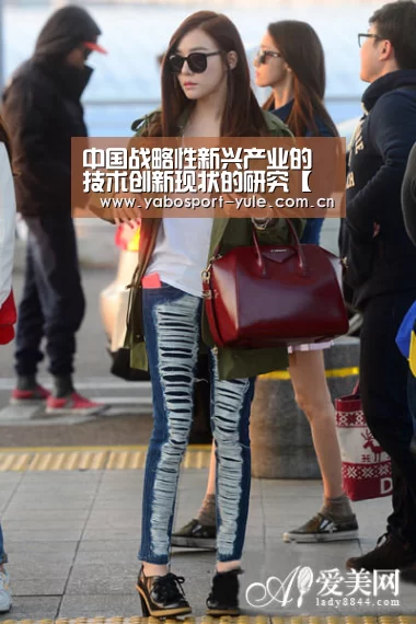 中国战略性新兴产业的技术创新现状的研究【亚博棋牌】(图4) 亚博娱乐